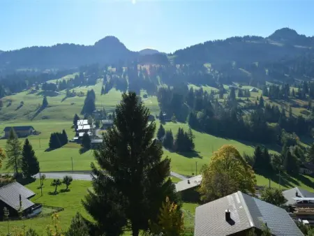 La Ruche, Chalet, Appartement 9 personnes à Saanenmöser - Photo 7