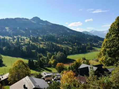 La Ruche, Chalet, Appartement 9 personnes à Saanenmöser - Photo 8