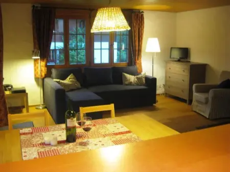 Zapfe (Moore), Appartement 5 personnes à Saanenmöser - Photo 8