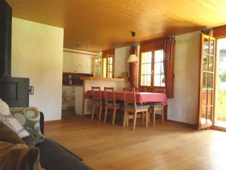 Zapfe (Moore), Appartement 5 personnes à Saanenmöser - Photo 12