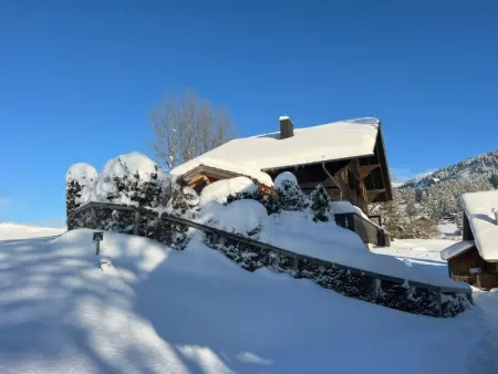 Ariel, Appartement 8 personnes à Saanenmöser - Photo 3