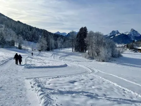 Ariel, Appartement 8 personnes à Saanenmöser - Photo 6