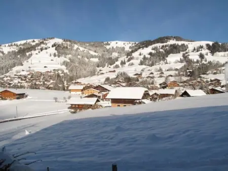 Grüenbüelti, Appartement 6 personnes à Schönried - Photo 9