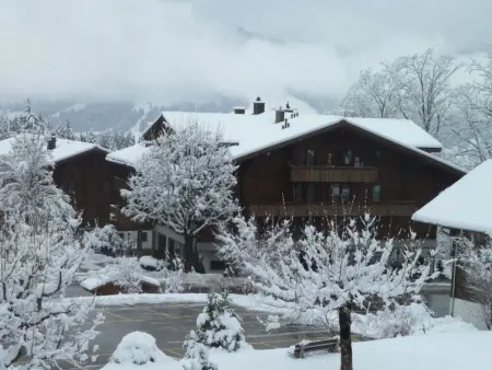 Suzanne Nr. 18, Appartement 5 personnes à Schönried - Photo 4