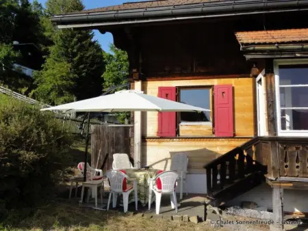 Sonnenfreude, Chalet, Appartement 7 personnes à Schönried - Photo 16