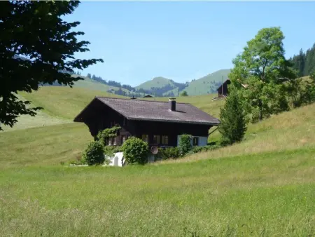 Aerneli, Chalet, Appartement 6 personnes à Gstaad - Photo 2