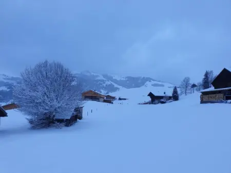Aerneli, Chalet, Appartement 6 personnes à Gstaad - Photo 10