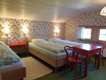 Aerneli, Chalet, Appartement 6 personnes à Gstaad - Photo 24