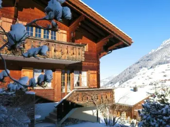 Appartement à Lauenen bei Gstaad, Silberdistel - N°533865