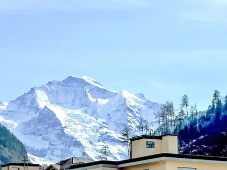 Elegance, Appartement 4 personnes à Interlaken - Photo 24