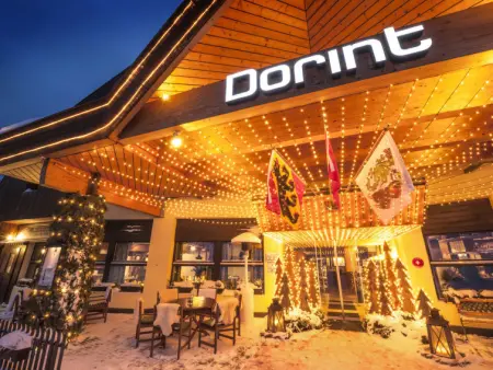 Komfort Maisonette, Dorint Blümlisalp, Appartement 2 personnes à Beatenberg - Photo 10