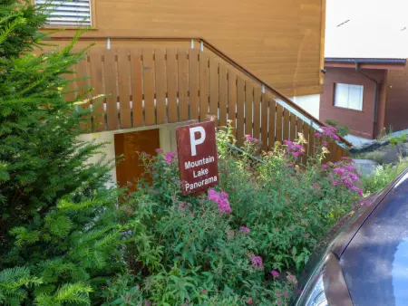 Mountain Lake Panorama, Chalet 3 personnes à Beatenberg - Photo 19