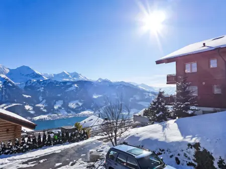 Mountain Lake Panorama, Chalet 3 personnes à Beatenberg - Photo 23