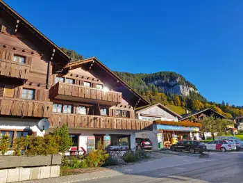 Wohnung in Beatenberg,Chalet Burgfeld CH3803.310.1 N°867016