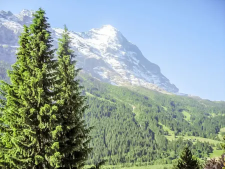 Chalet Almis 5, Appartement 7 personnes à Grindelwald - Photo 13