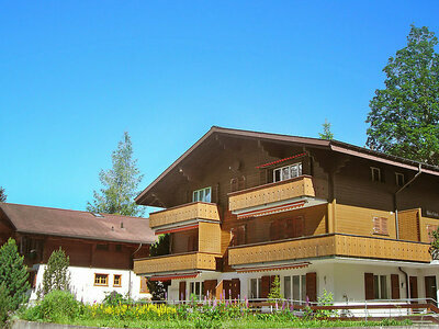 Location Appartement à Grindelwald,Chalet Almis-Bödeli CH3818.253.2 N°435441