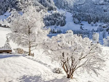 Chalet Bärgsunna, Appartement 2 personnes à Grindelwald - Photo 16