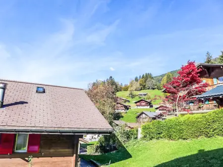Chalet Albi, Appartement 4 personnes à Grindelwald - Photo 20
