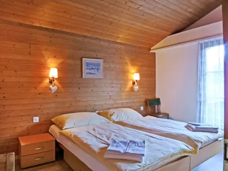 Bergkristall Apt. P, Appartement 4 personnes à Wengen - Photo 9