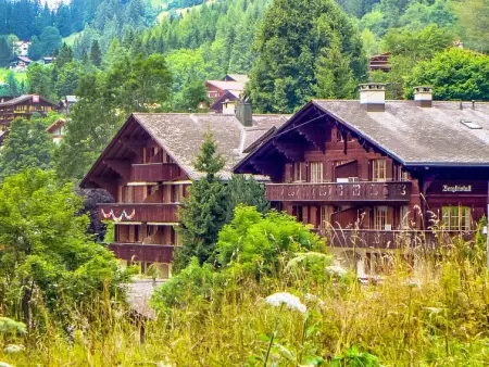 Bergkristall Apt. P, Appartement 4 personnes à Wengen - Photo 12