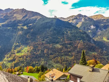 Bergkristall Apt. P, Appartement 4 personnes à Wengen - Photo 13