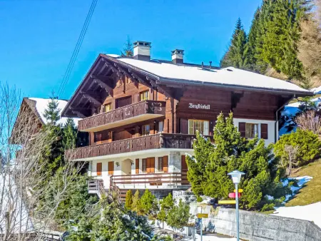 Bergkristall Apt. P, Appartement 4 personnes à Wengen - Photo 16