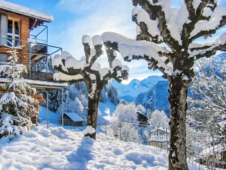 Breithorn Residence Apt.09, Appartement 3 personnes à Wengen - Photo 16