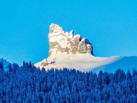 Rose Apt. Y, Appartement 4 personnes à Wengen - Photo 25