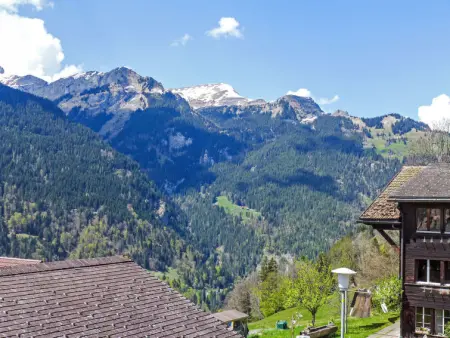 Rose Studio Y, Appartement 2 personnes à Wengen - Photo 20