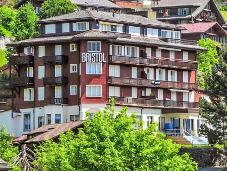Bristol Apt.S, Appartement 4 personnes à Wengen - Photo 23