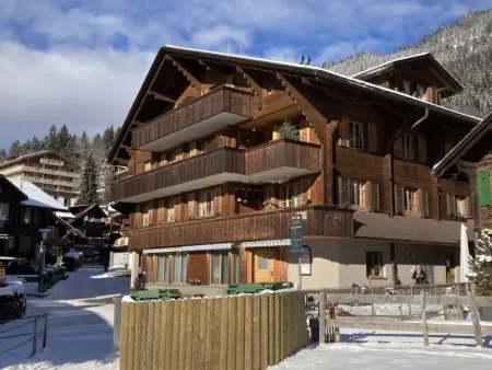 Chäs Gruebi Apt.S, Appartement 10 personnes à Wengen - Photo 20