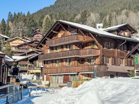 Chäs Gruebi Apt.S, Appartement 10 personnes à Wengen - Photo 21