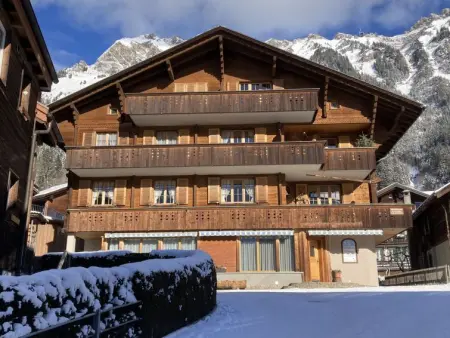 Chäs Gruebi Apt.S, Appartement 10 personnes à Wengen - Photo 22