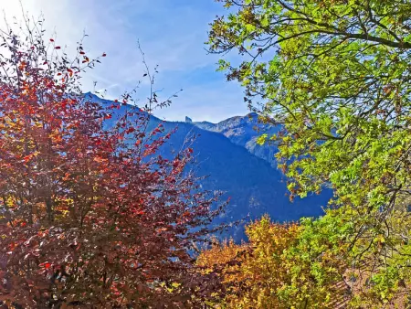 Drei Tannen, Appartement 4 personnes à Wengen - Photo 20