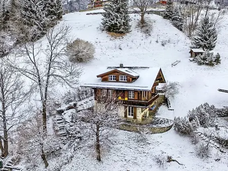 Drei Tannen, Appartement 4 personnes à Wengen - Photo 23