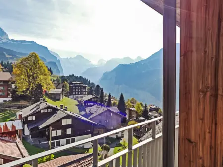 Eden Apt.D, Appartement 4 personnes à Wengen - Photo 15