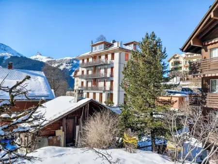 Eden Apt.D, Appartement 4 personnes à Wengen - Photo 23