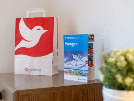 Eiger Residence Apt.A/425, Appartement 4 personnes à Wengen - Photo 15