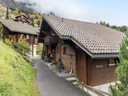 Eigersonne, Appartement 4 personnes à Wengen - Photo 20