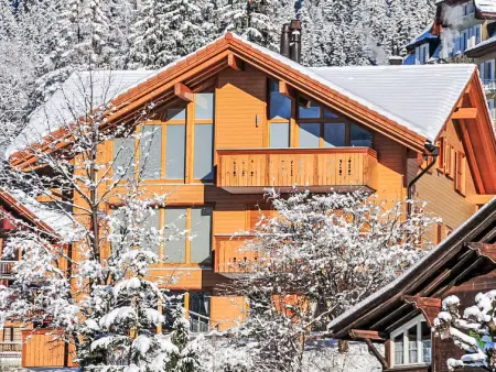 Fortuna Apt.M, Appartement 5 personnes à Wengen - Photo 1