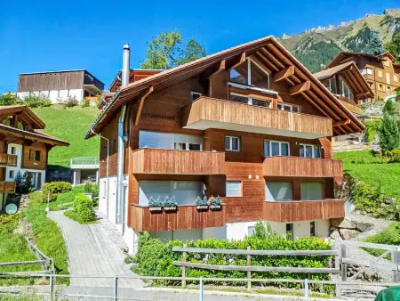 Goldenhorn Apt.F, Appartement 4 personnes à Wengen - Photo 4