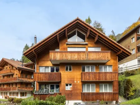 Goldenhorn Apt.F, Appartement 4 personnes à Wengen - Photo 19