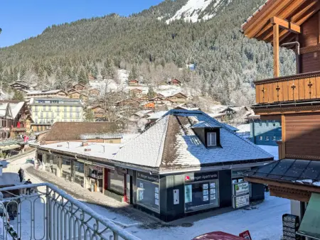 Haus Gertsch Apt.G, Appartement 6 personnes à Wengen - Photo 22