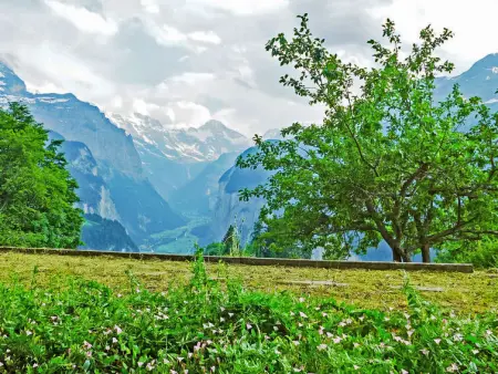 Helene Apt. Hella, Chalet 3 personnes à Wengen - Photo 3