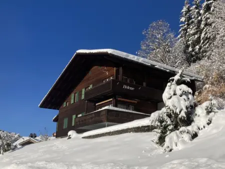 Helene Apt Diana, Chalet 5 personnes à Wengen - Photo 21