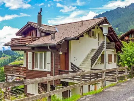 Melodie Apt.W, Appartement 4 personnes à Wengen - Photo 13