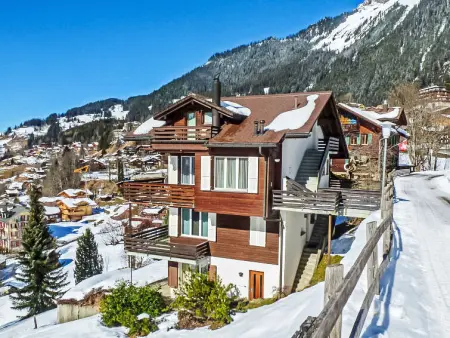 Melodie Apt.W, Appartement 4 personnes à Wengen - Photo 14