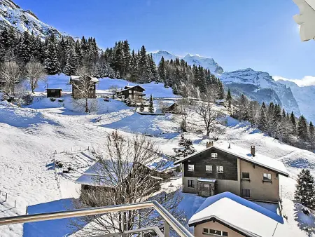 Mittaghorn Apt.8, Appartement 4 personnes à Wengen - Photo 19