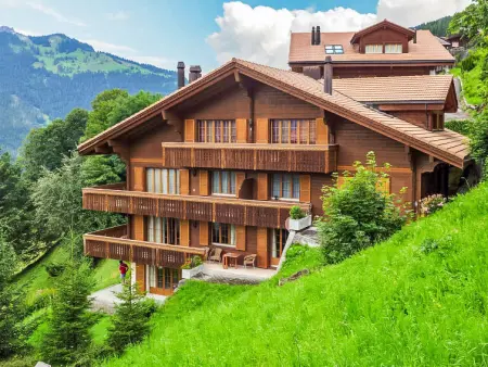 Panorama Apt. P, Appartement 6 personnes à Wengen - Photo 4