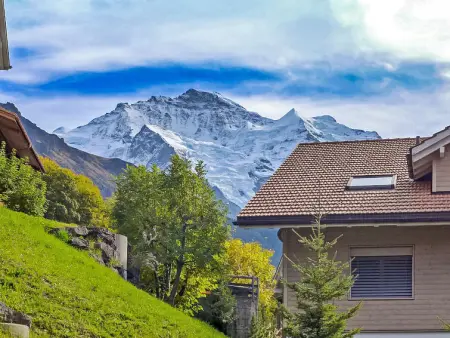 Panorama Apt. P, Appartement 6 personnes à Wengen - Photo 12